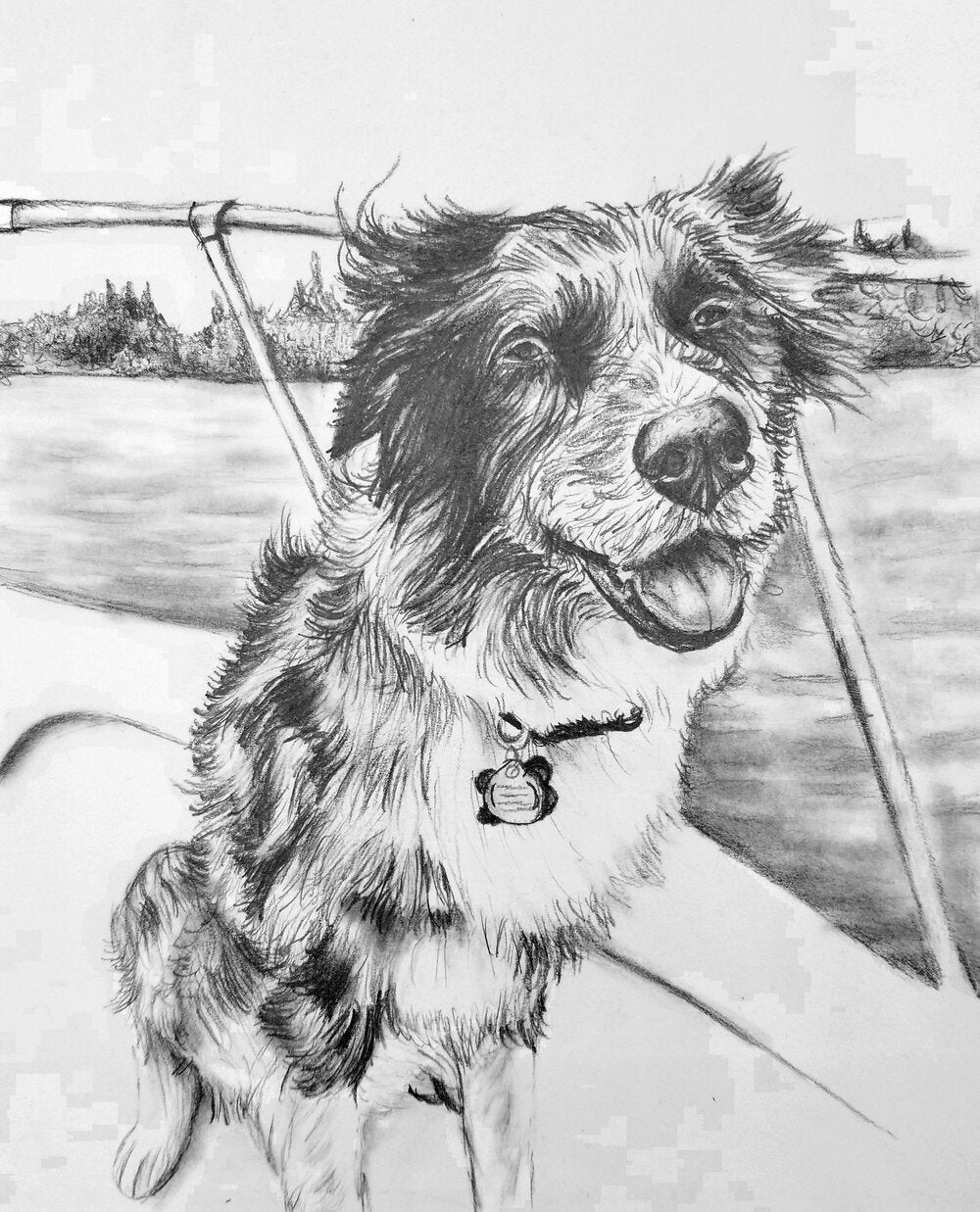 custom drawn pet portrait