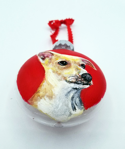 Custom Pet Ornament On Clear Plastic Disc Ornament