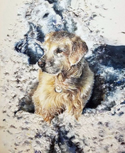 Load image into Gallery viewer, Painted Pet Portrait on Canvas Paper
