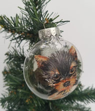 Load image into Gallery viewer, Custom Pet Ornament On Clear Plastic Disc Ornament
